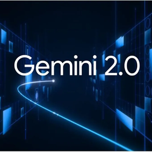 mini_gemini2.png