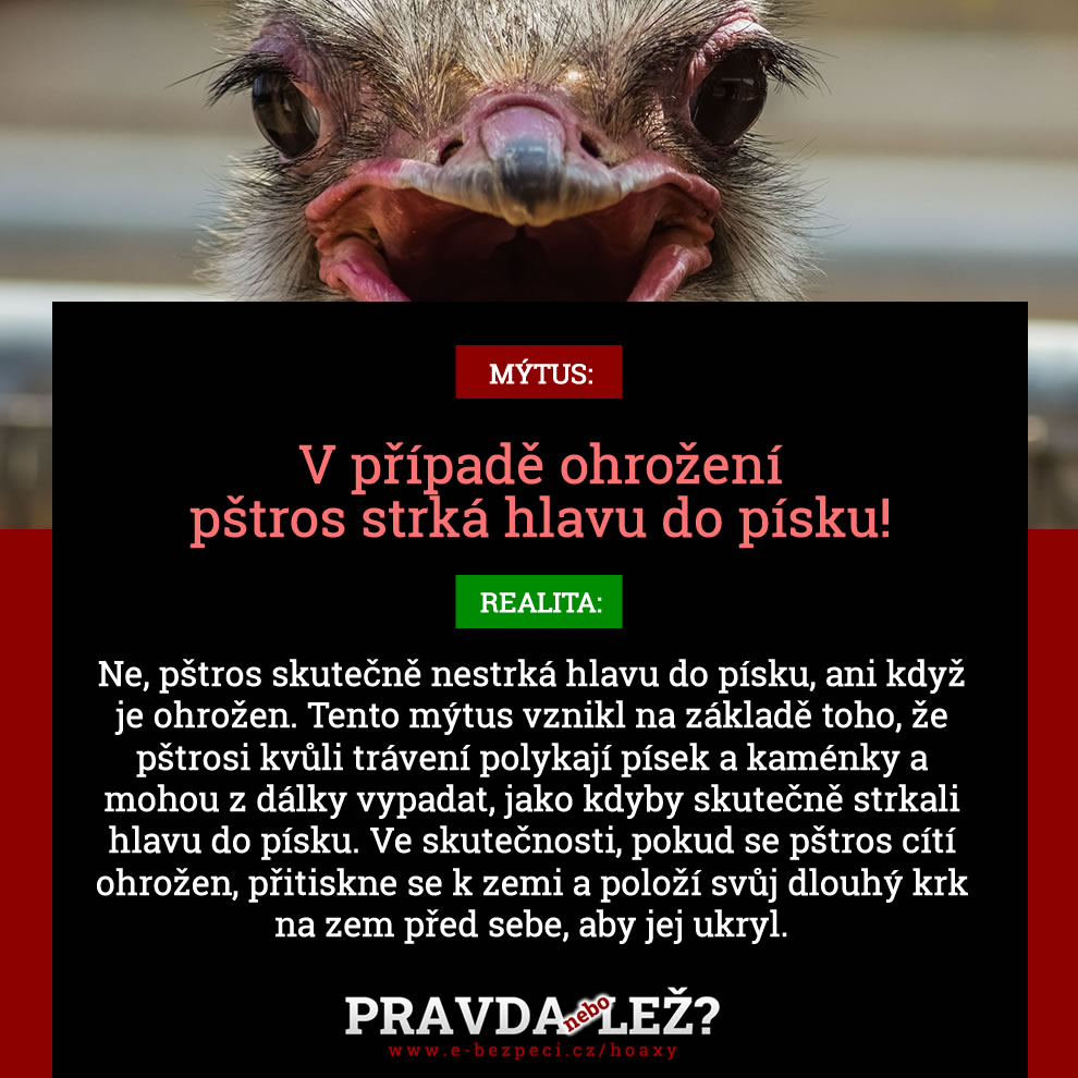 pravda_nebo_lez_pstros.jpg